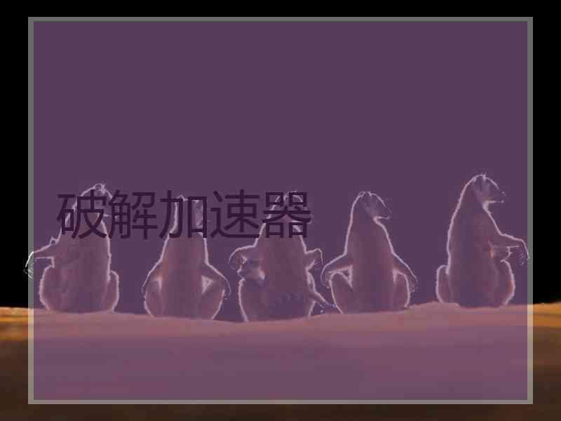 破解加速器