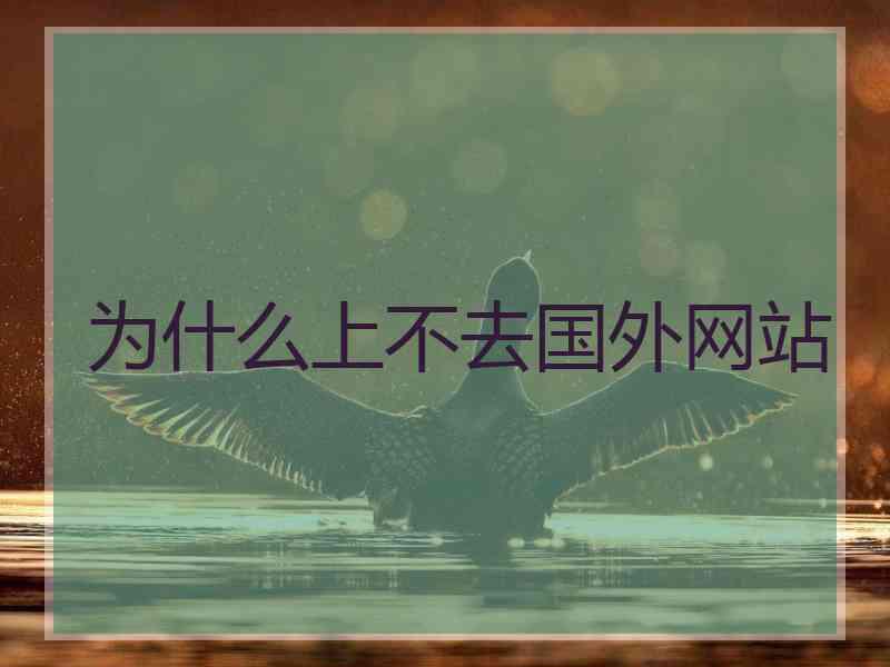 为什么上不去国外网站