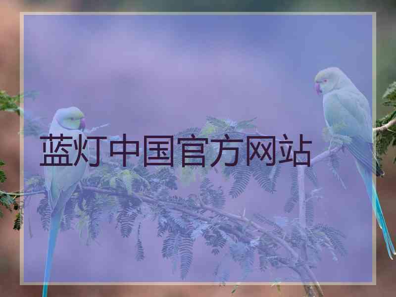 蓝灯中国官方网站