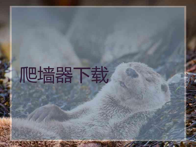 爬墙器下载