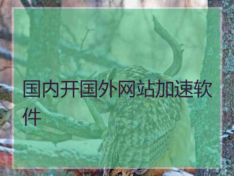 国内开国外网站加速软件