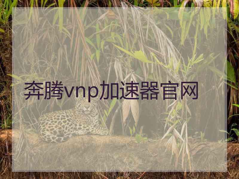 奔腾vnp加速器官网