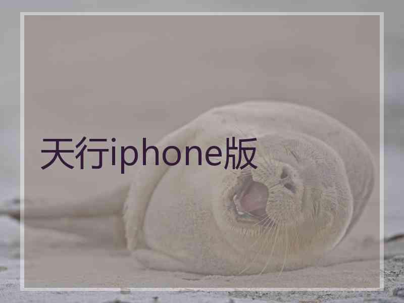 天行iphone版