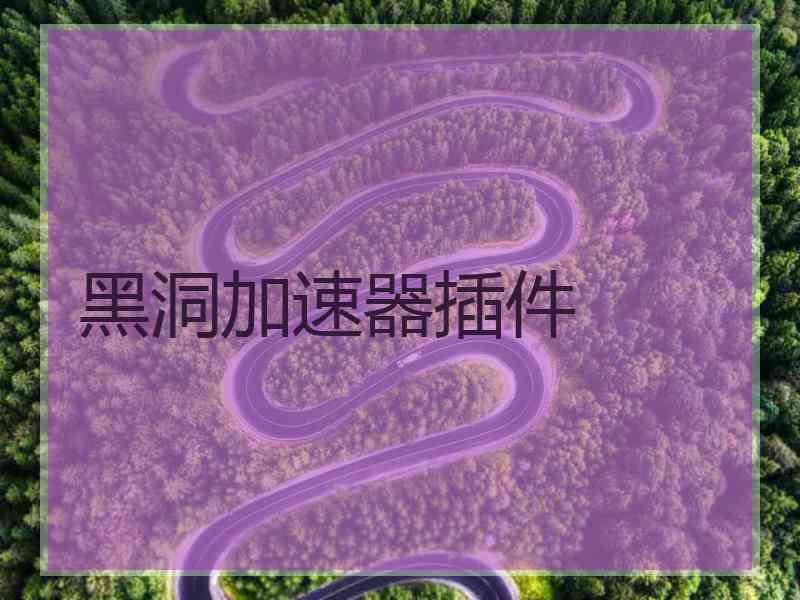 黑洞加速器插件