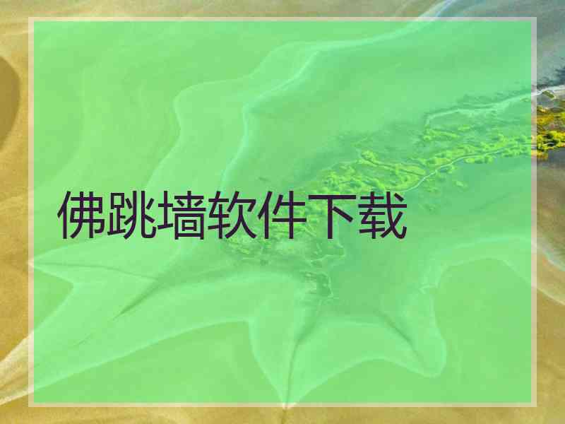 佛跳墙软件下载