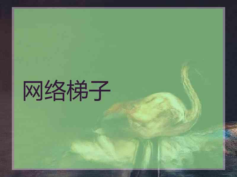 网络梯子