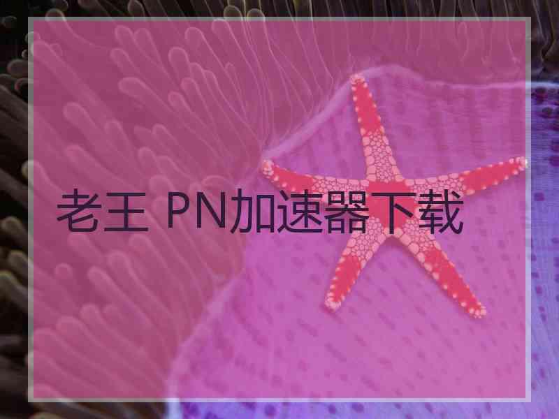 老王 PN加速器下载