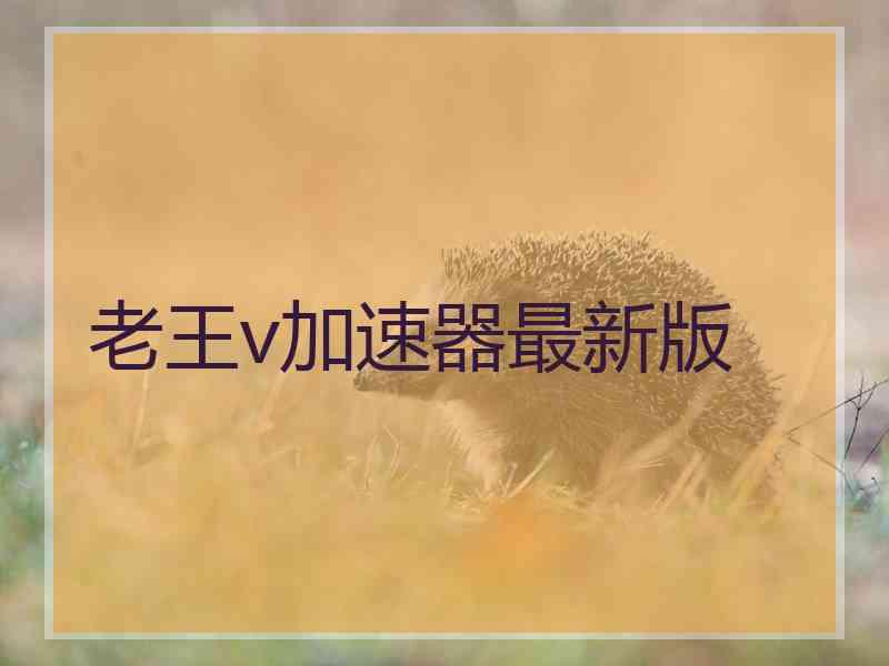 老王v加速器最新版