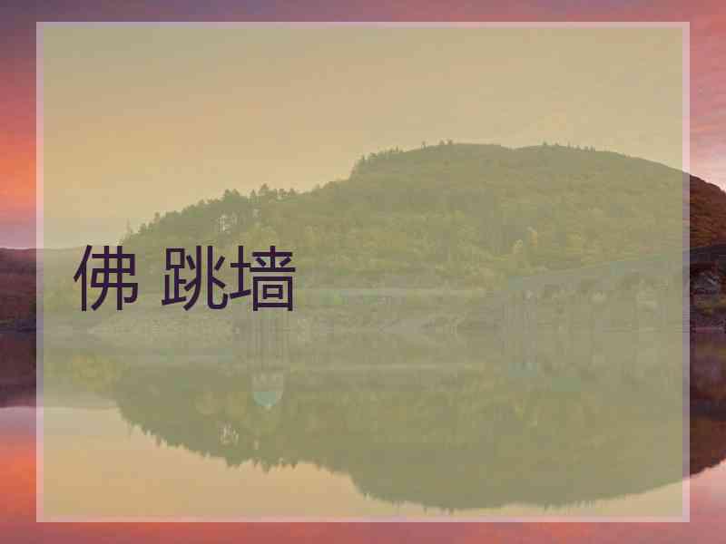 佛 跳墙