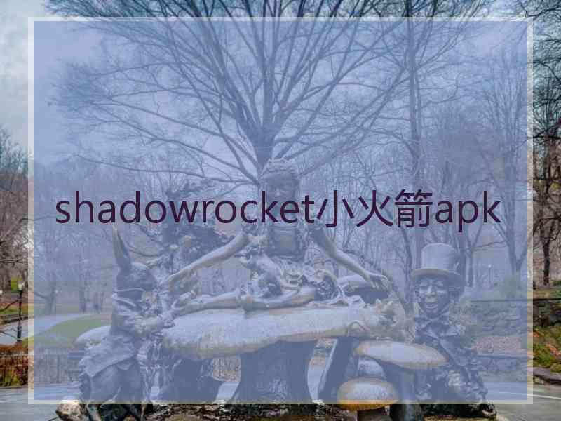 shadowrocket小火箭apk