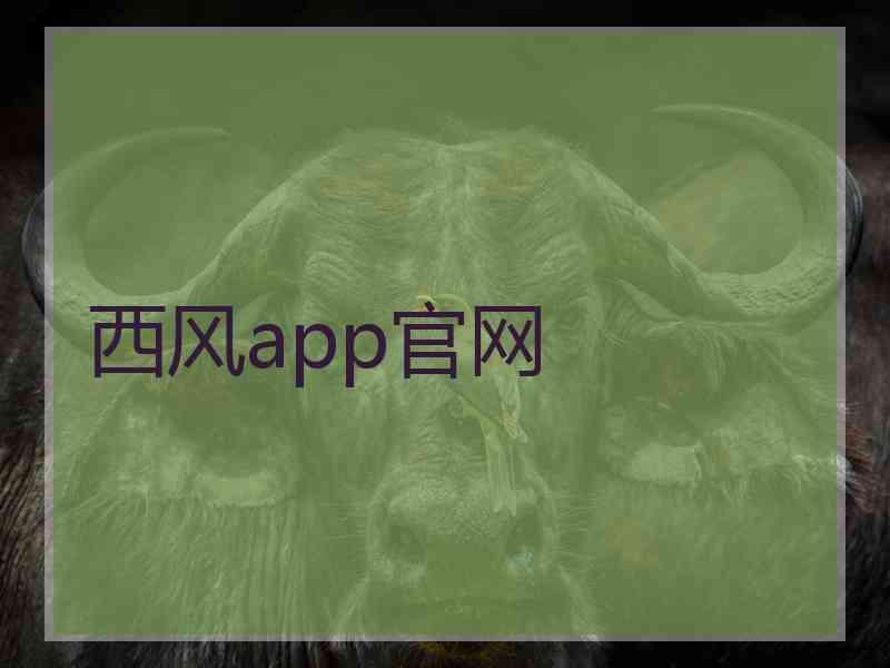 西风app官网