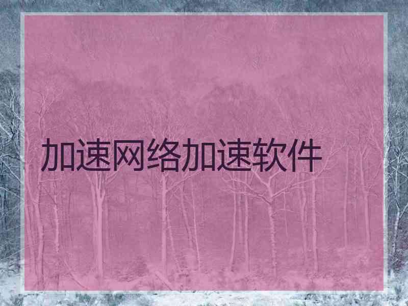 加速网络加速软件