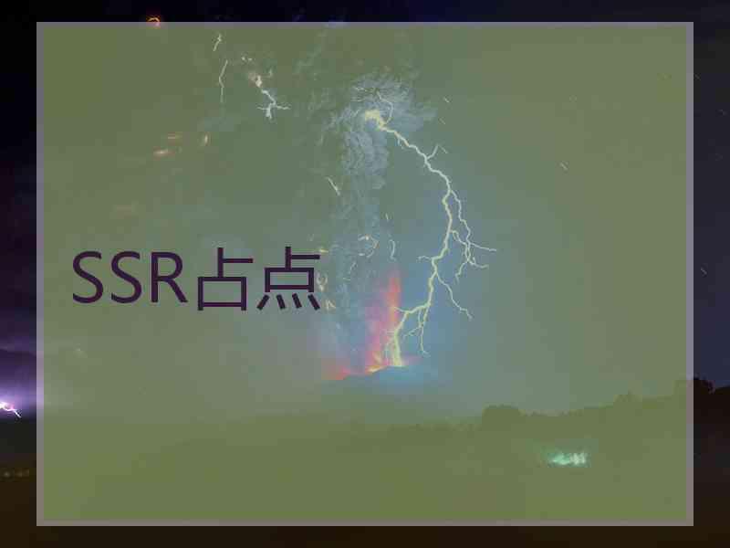 SSR占点