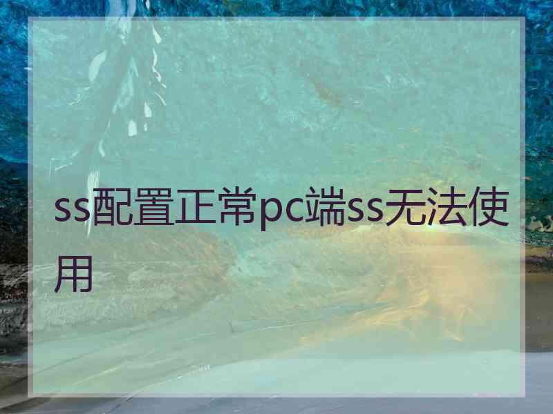 ss配置正常pc端ss无法使用