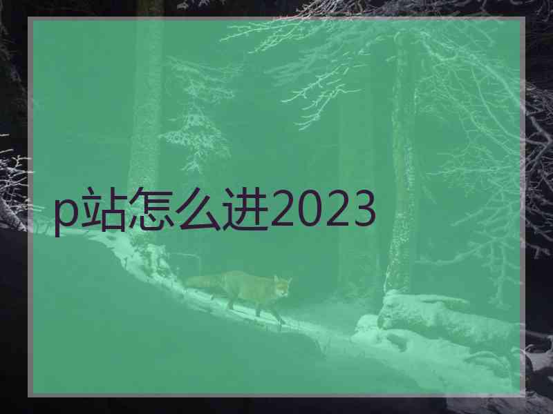 p站怎么进2023