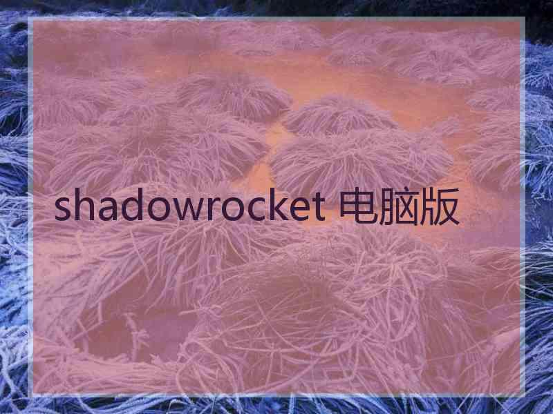 shadowrocket 电脑版