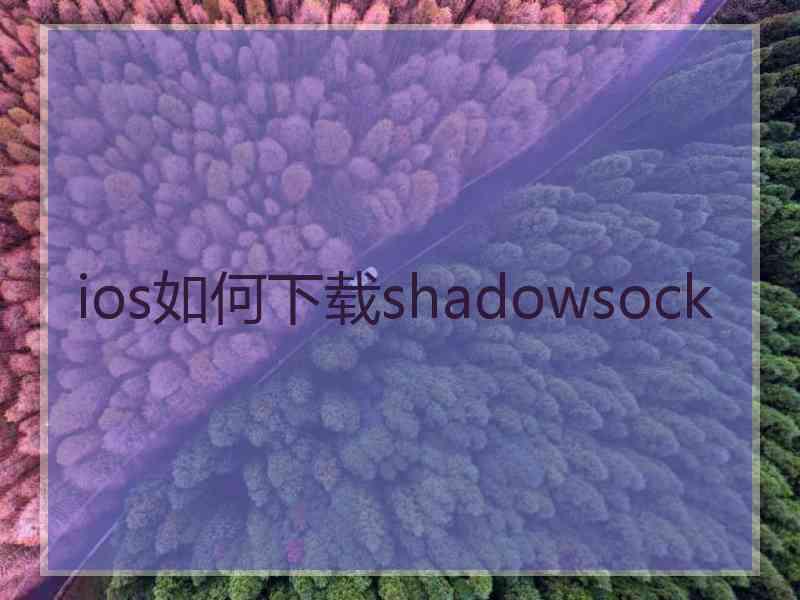 ios如何下载shadowsock