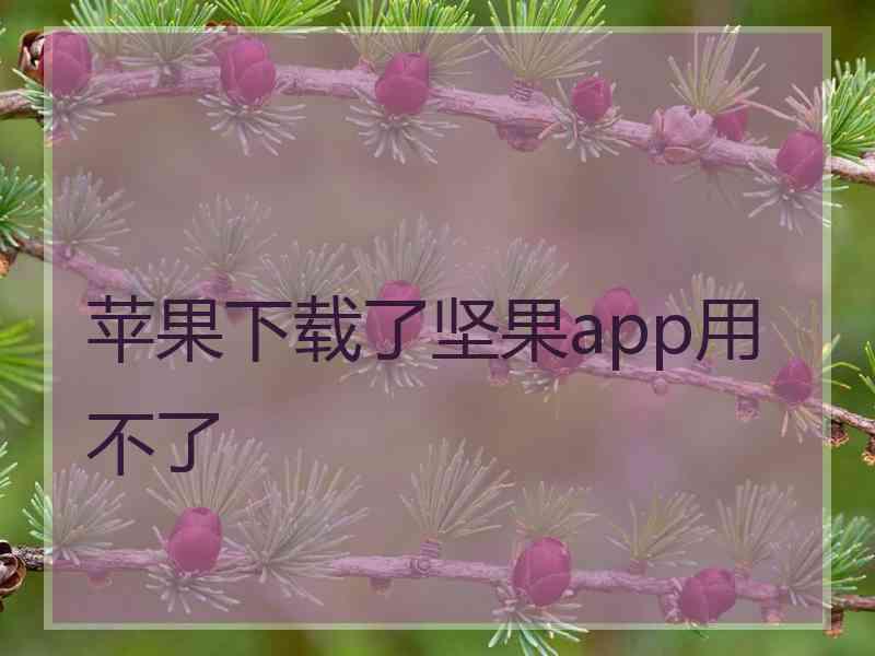 苹果下载了坚果app用不了