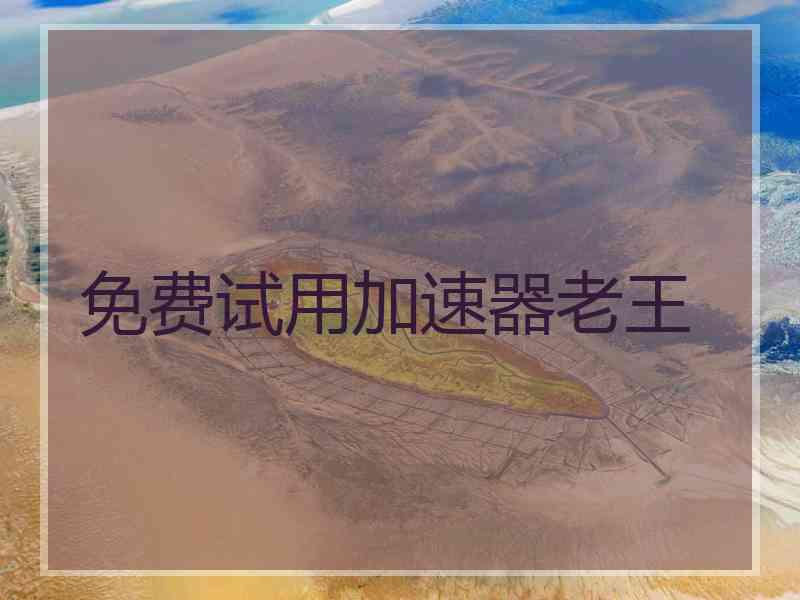 免费试用加速器老王
