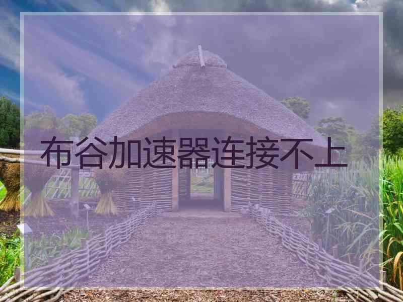 布谷加速器连接不上