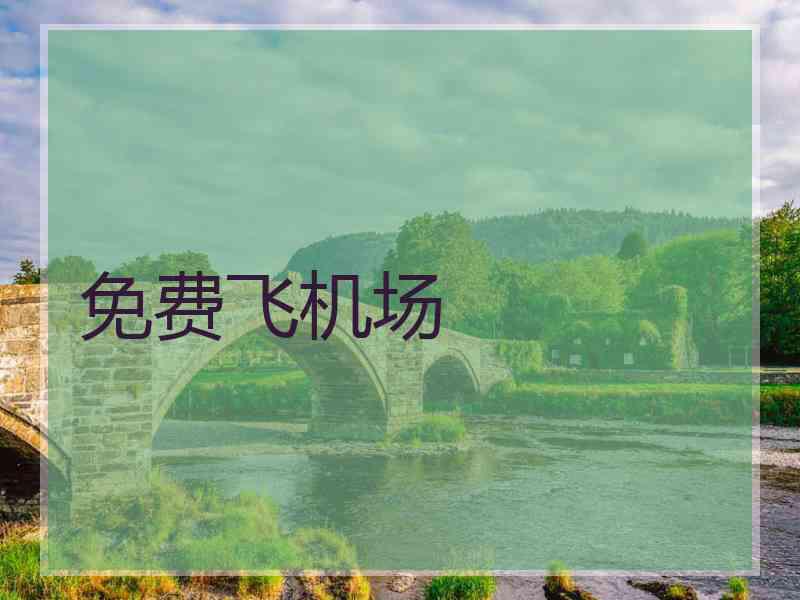 免费飞机场