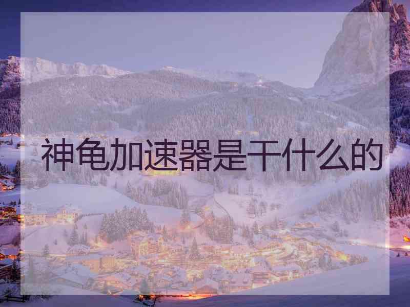 神龟加速器是干什么的