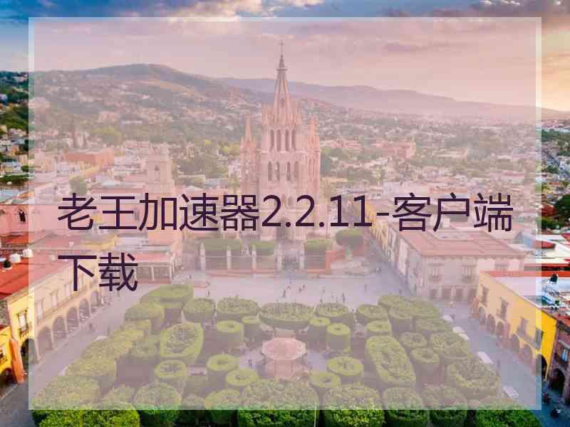 老王加速器2.2.11-客户端下载