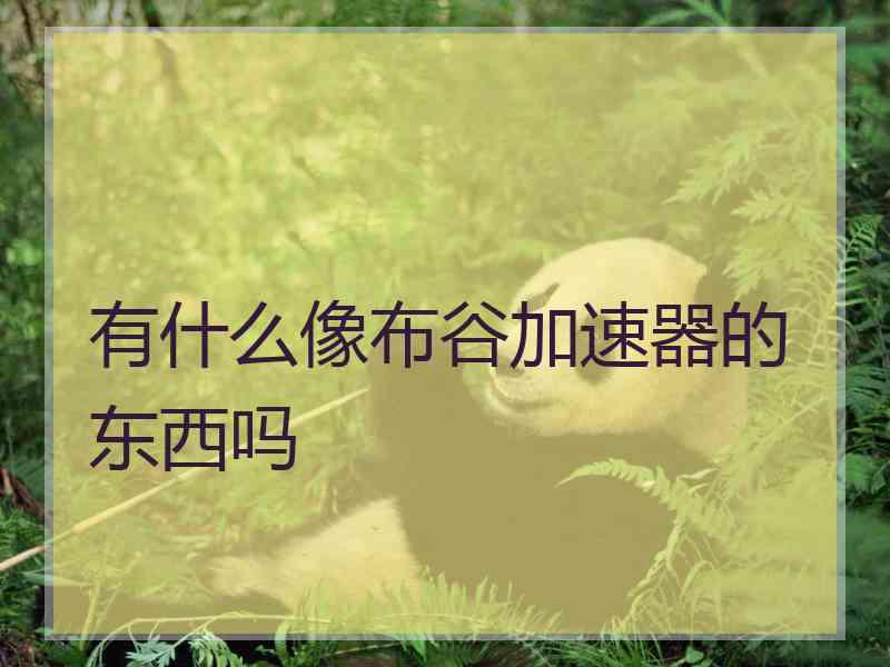 有什么像布谷加速器的东西吗