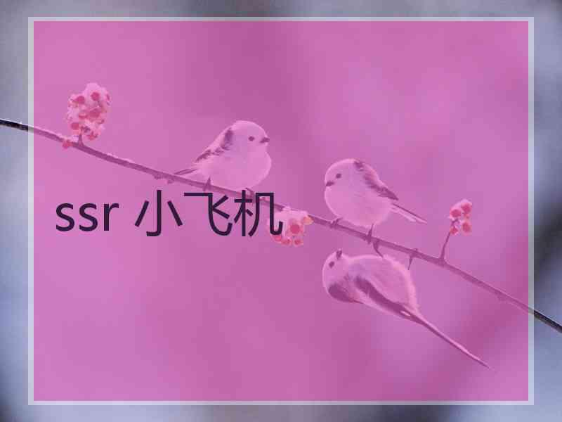 ssr 小飞机