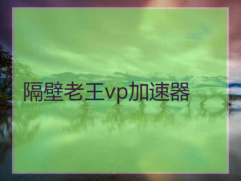 隔壁老王vp加速器