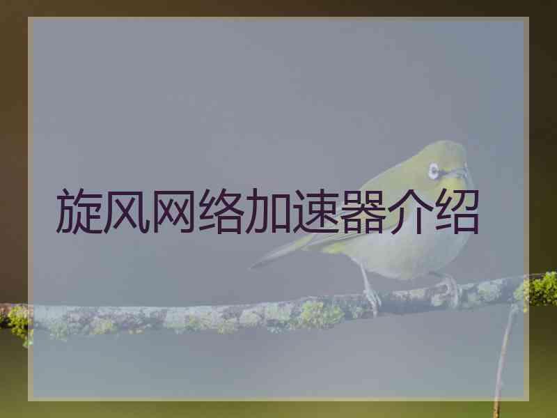旋风网络加速器介绍