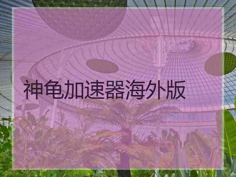 神龟加速器海外版
