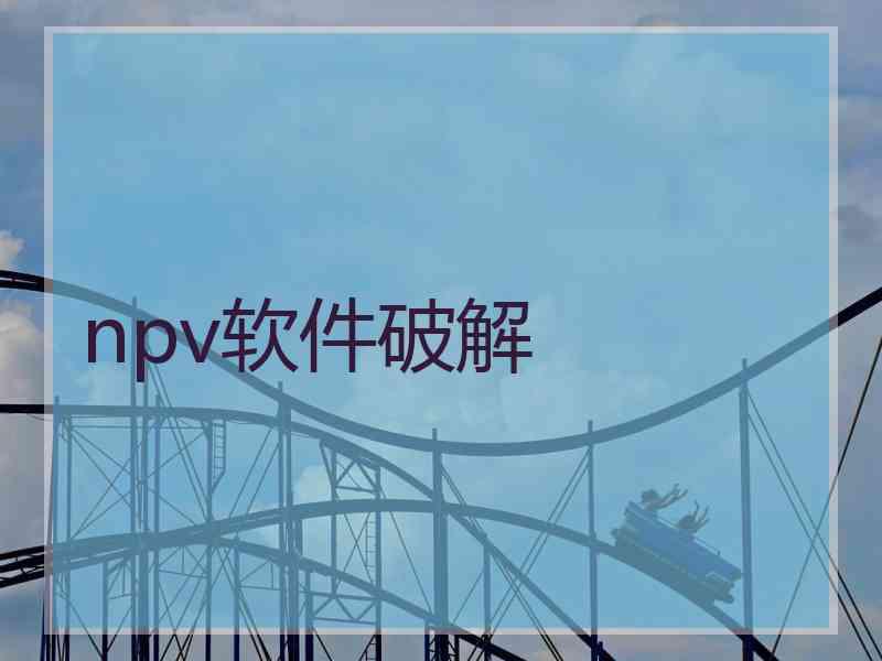 npv软件破解