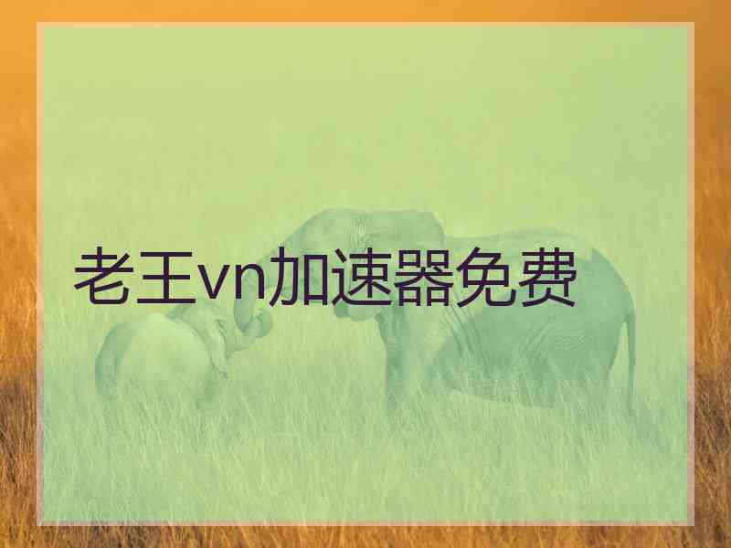 老王vn加速器免费