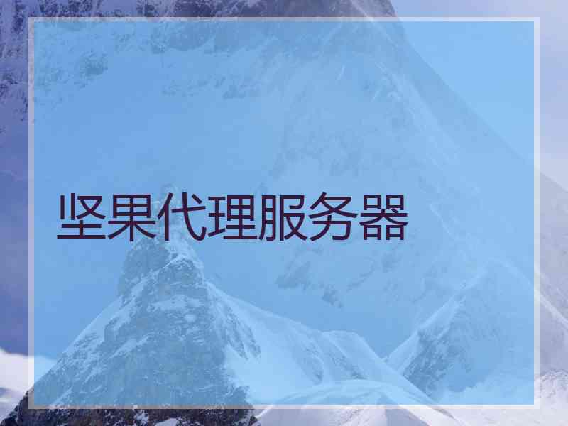 坚果代理服务器