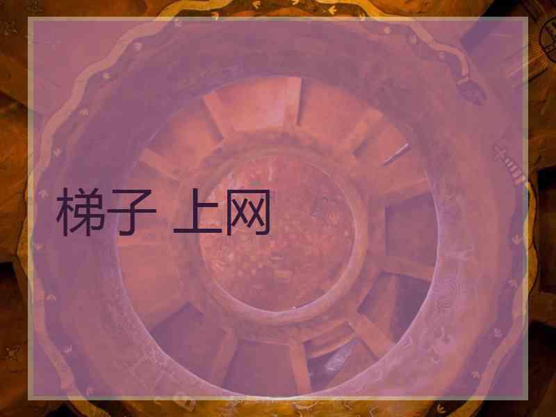梯子 上网