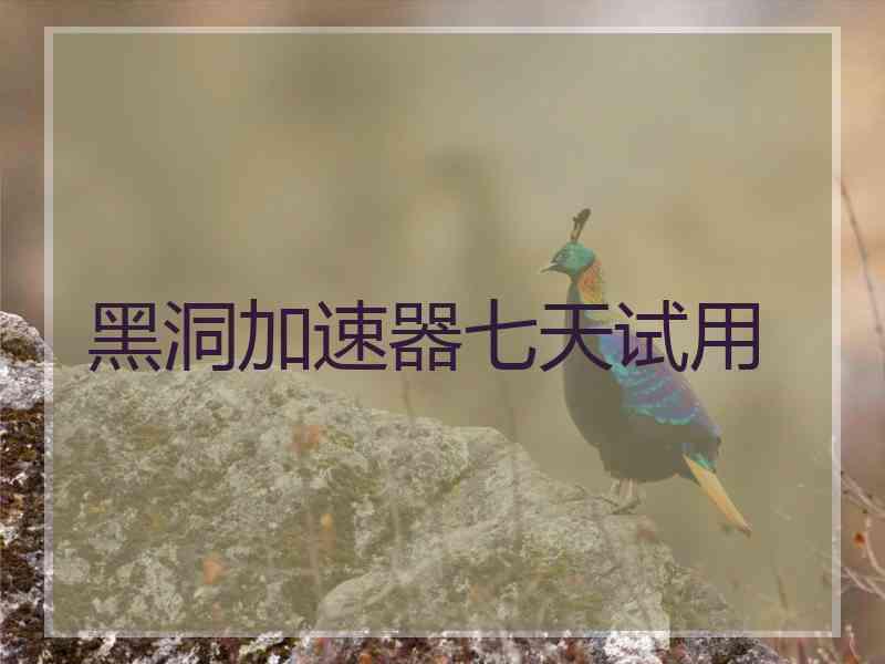 黑洞加速器七天试用