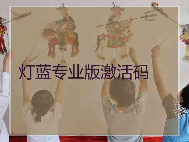 灯蓝专业版激活码