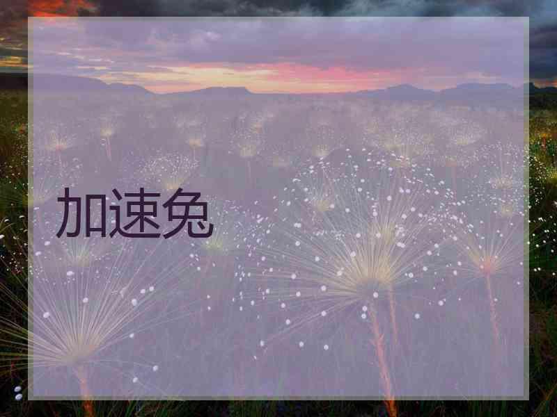 加速兔