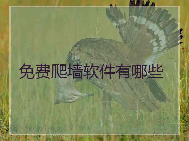 免费爬墙软件有哪些
