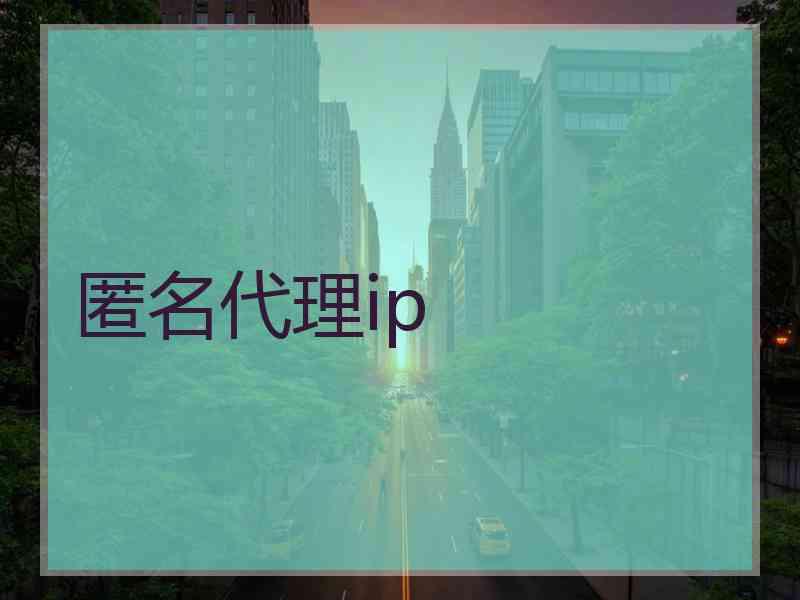 匿名代理ip