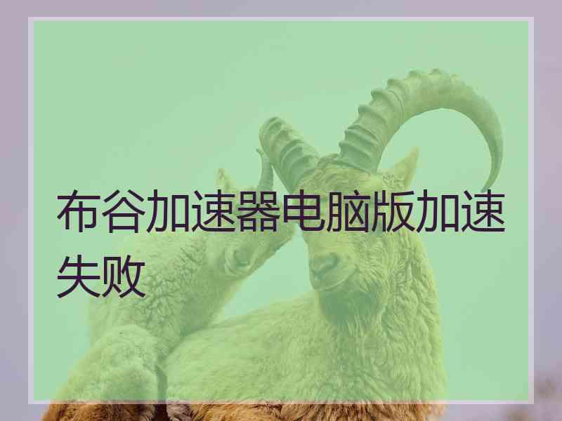 布谷加速器电脑版加速失败