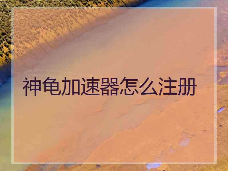 神龟加速器怎么注册