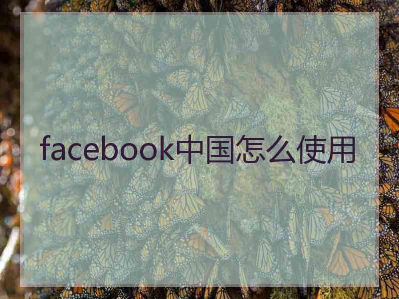 facebook中国怎么使用