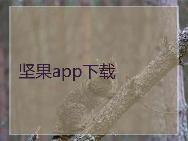 坚果app下载