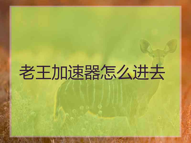 老王加速器怎么进去
