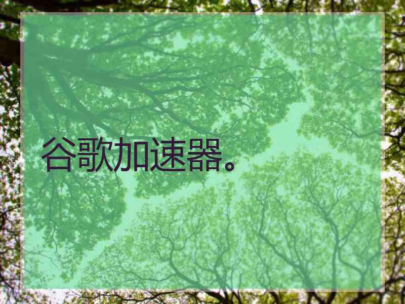谷歌加速器。
