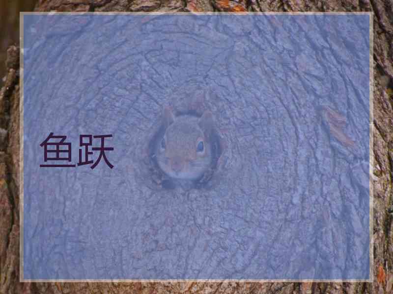 鱼跃