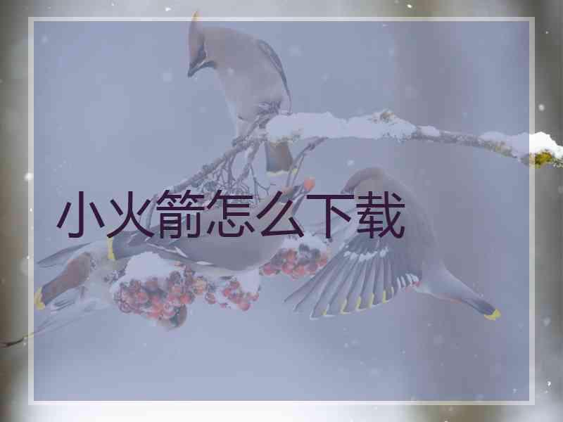 小火箭怎么下载
