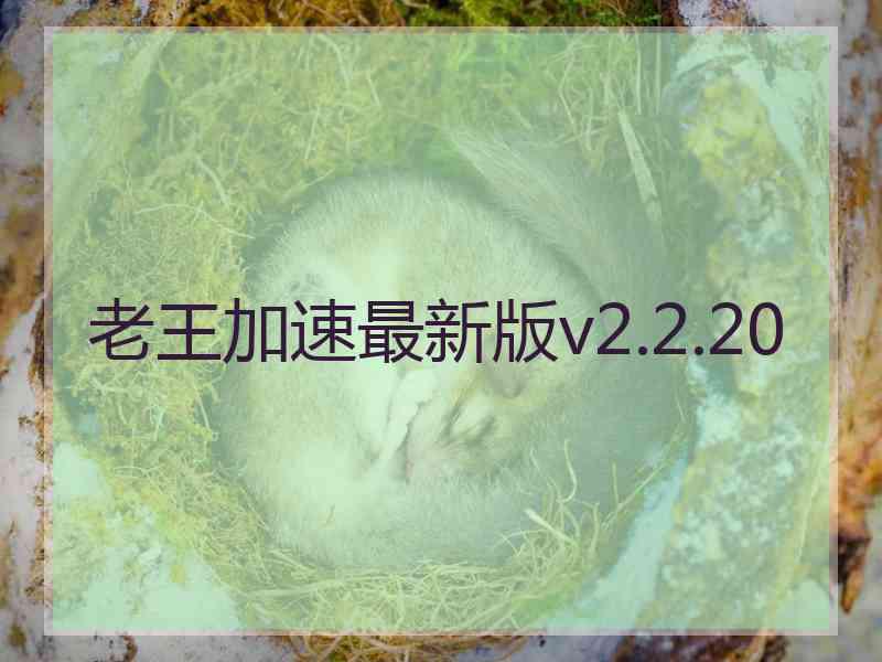 老王加速最新版v2.2.20
